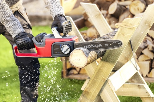 Drugie życie ogrodowych gałęzi: ekologiczne sposoby pielęgnacji drzew i zagospodarowania surowca